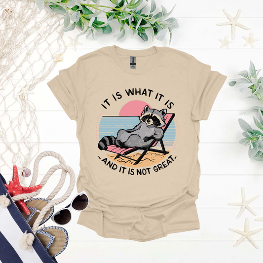 "It Is What It Is" Raccoon Tee